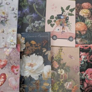 Related large card with shell